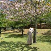 ヒメ日記 2025/05/01 06:08 投稿 もえ 完熟ばなな神戸・三宮店