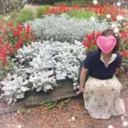 ヒメ日記 2025/06/15 08:32 投稿 もえ 完熟ばなな神戸・三宮店