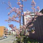 ヒメ日記 2026/03/10 08:33 投稿 もえ 完熟ばなな神戸・三宮店