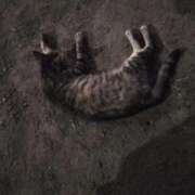 ヒメ日記 2025/09/03 10:29 投稿 黒沢 鶯谷デッドボール