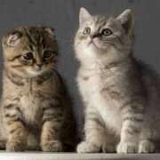 ヒメ日記 2025/11/12 15:52 投稿 木乃美(このみ) カリビアンマッサージ 天使のゆびさき 岡山店