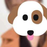 ヒメ日記 2025/04/02 11:00 投稿 りょう CLASSY（クラッシー）.神戸