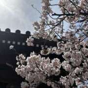 ヒメ日記 2025/04/09 10:36 投稿 りょう CLASSY（クラッシー）.神戸