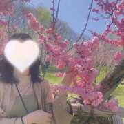 ヒメ日記 2025/05/13 13:50 投稿 ひより Sakura Spa