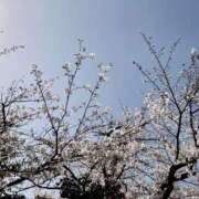 ヒメ日記 2025/04/05 14:31 投稿 里緒奈（りおな） 変態clubラツィエル