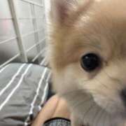 ヒメ日記 2025/10/28 18:05 投稿 モナ　NEW 煌き -KIRAMEKI-（煌きグループ）