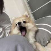 ヒメ日記 2025/10/31 12:37 投稿 モナ　NEW 煌き -KIRAMEKI-（煌きグループ）