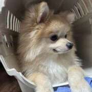 ヒメ日記 2025/11/02 10:47 投稿 モナ　NEW 煌き -KIRAMEKI-（煌きグループ）