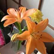 ヒメ日記 2025/03/23 18:03 投稿 くしな 池袋サンキュー