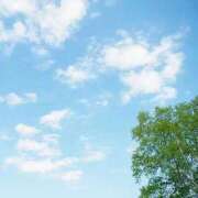 ヒメ日記 2025/04/09 11:17 投稿 新山えみ 東京ローズマリー