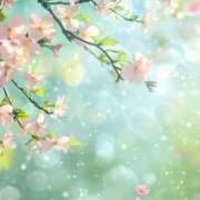 ヒメ日記 2025/04/23 21:17 投稿 新山えみ 東京ローズマリー