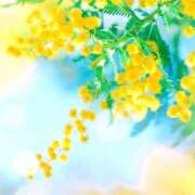 ヒメ日記 2025/05/07 12:57 投稿 新山えみ 東京ローズマリー