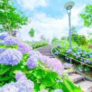 ヒメ日記 2025/06/21 14:47 投稿 新山えみ 東京ローズマリー