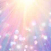 ヒメ日記 2025/06/26 11:27 投稿 新山えみ 東京ローズマリー