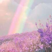 ヒメ日記 2025/07/17 13:47 投稿 新山えみ 東京ローズマリー