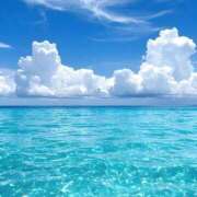 ヒメ日記 2025/08/14 14:27 投稿 新山えみ 東京ローズマリー