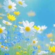 ヒメ日記 2025/08/17 13:07 投稿 新山えみ 東京ローズマリー