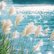 ヒメ日記 2025/09/15 15:47 投稿 新山えみ 東京ローズマリー