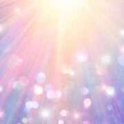 ヒメ日記 2025/11/28 17:35 投稿 新山えみ 東京ローズマリー