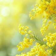 ヒメ日記 2025/11/29 12:09 投稿 新山えみ 東京ローズマリー