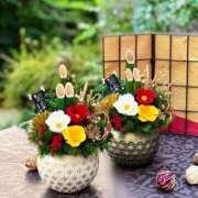 ヒメ日記 2026/01/05 13:27 投稿 新山えみ 東京ローズマリー