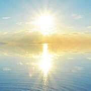 ヒメ日記 2026/01/16 13:17 投稿 新山えみ 東京ローズマリー