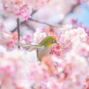 ヒメ日記 2026/02/18 12:47 投稿 新山えみ 東京ローズマリー