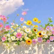 ヒメ日記 2026/04/15 12:09 投稿 新山えみ 東京ローズマリー