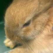 ヒメ日記 2025/08/28 21:16 投稿 さな 宮崎ちゃんこ中央通店