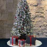 ヒメ日記 2025/12/25 14:57 投稿 さな 宮崎ちゃんこ中央通店