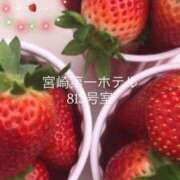 ヒメ日記 2026/01/10 00:27 投稿 さな 宮崎ちゃんこ中央通店