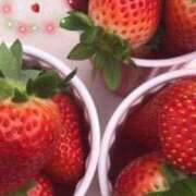 ヒメ日記 2026/01/12 11:07 投稿 さな 宮崎ちゃんこ中央通店