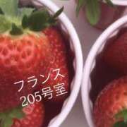 ヒメ日記 2026/01/17 23:27 投稿 さな 宮崎ちゃんこ中央通店