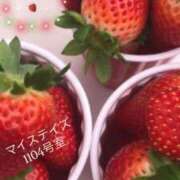 さな お礼 宮崎ちゃんこ中央通店