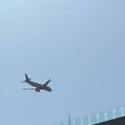 ヒメ日記 2026/02/26 04:37 投稿 さな 宮崎ちゃんこ中央通店