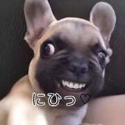 さな 待機所に出陣 宮崎ちゃんこ中央通店