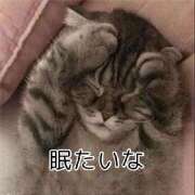 ヒメ日記 2026/03/14 00:07 投稿 さな 宮崎ちゃんこ中央通店