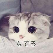 ヒメ日記 2026/03/20 16:10 投稿 さな 宮崎ちゃんこ中央通店