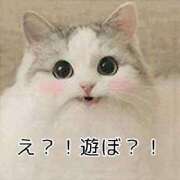 ヒメ日記 2026/03/20 17:57 投稿 さな 宮崎ちゃんこ中央通店