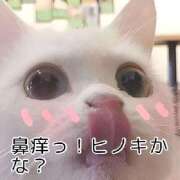 ヒメ日記 2026/03/20 19:37 投稿 さな 宮崎ちゃんこ中央通店