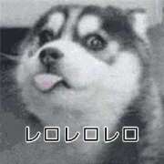 ヒメ日記 2026/03/20 22:27 投稿 さな 宮崎ちゃんこ中央通店