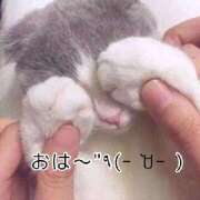 ヒメ日記 2026/03/25 13:07 投稿 さな 宮崎ちゃんこ中央通店