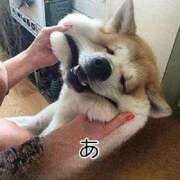 ヒメ日記 2026/03/28 01:30 投稿 さな 宮崎ちゃんこ中央通店