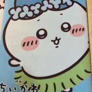 ヒメ日記 2026/09/12 01:09 投稿 さな 宮崎ちゃんこ中央通店