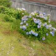 ヒメ日記 2025/06/27 14:57 投稿 みりむ スピード日本橋店