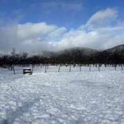 ヒメ日記 2026/01/07 19:29 投稿 みりむ スピード日本橋店