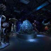 ヒメ日記 2025/03/12 20:41 投稿 ゆりな ソープランド AQUA（アクア）