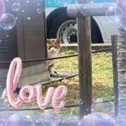 ヒメ日記 2025/03/31 13:08 投稿 みかこ One More 奥様　池袋店