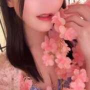 ヒメ日記 2025/02/20 18:16 投稿 かれん 東京妻next (京都グループ)