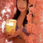 ヒメ日記 2025/03/28 01:10 投稿 かれん 東京妻next (京都グループ)